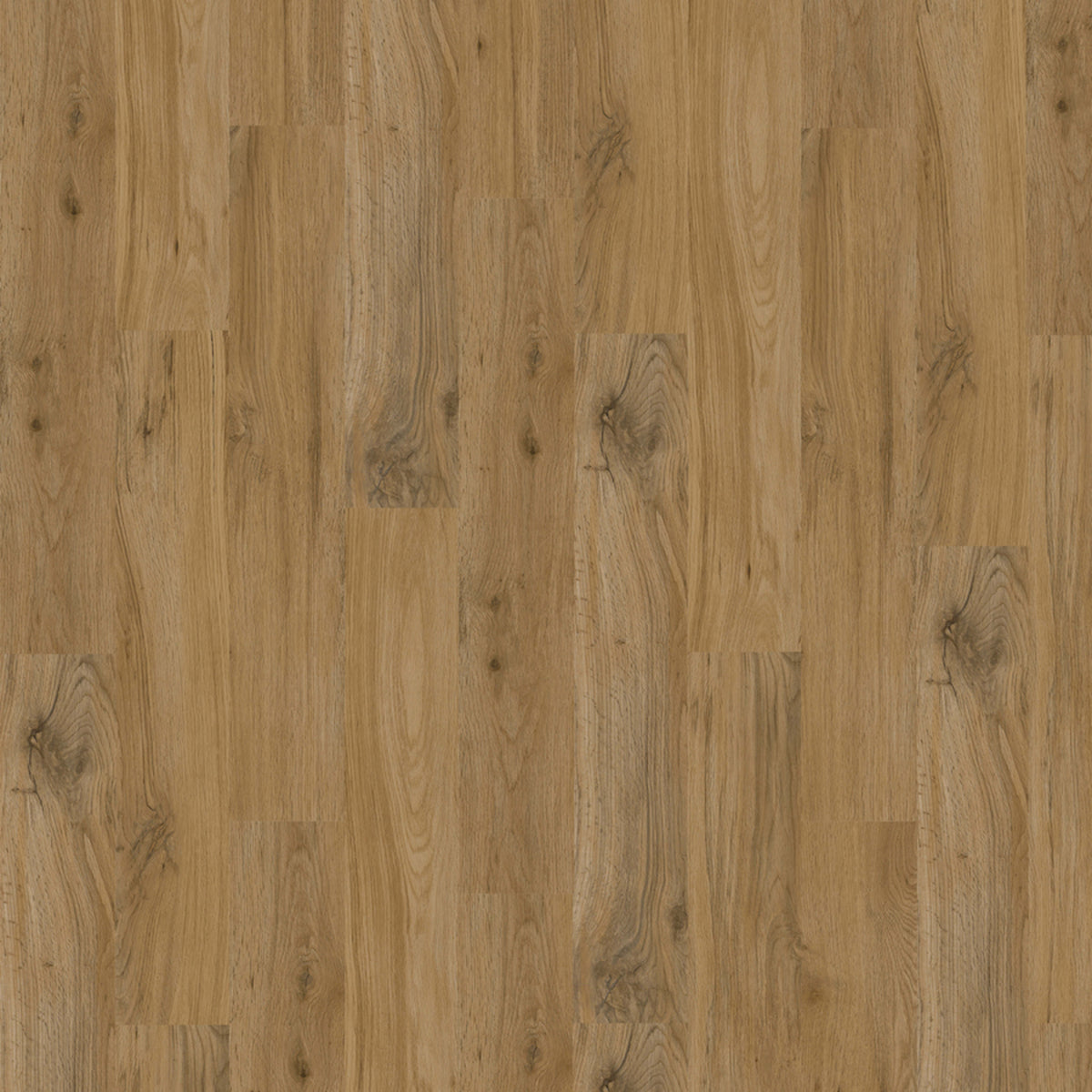 Devan in Graze Luxury Vinyl