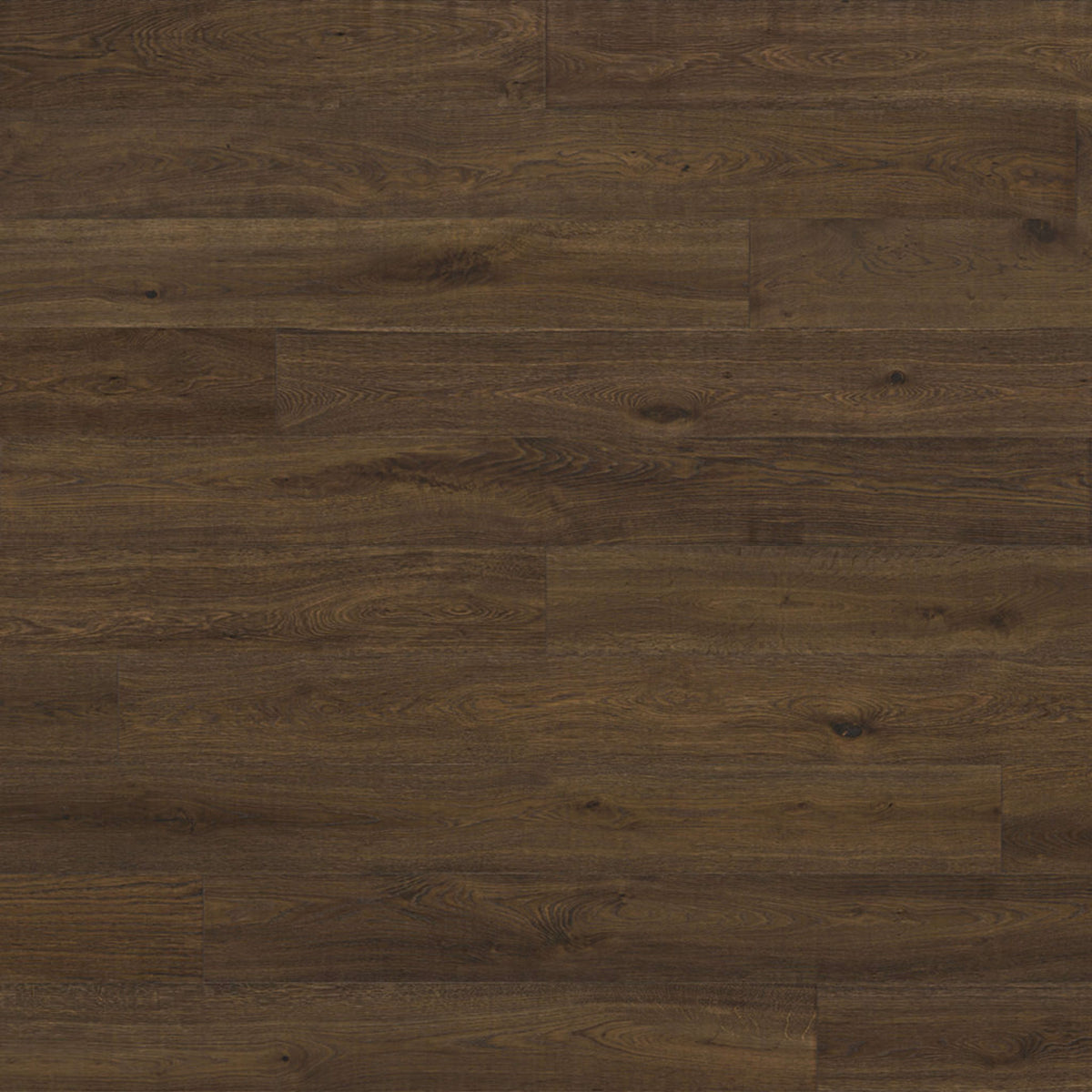 Renaissance in Elba Hardwood