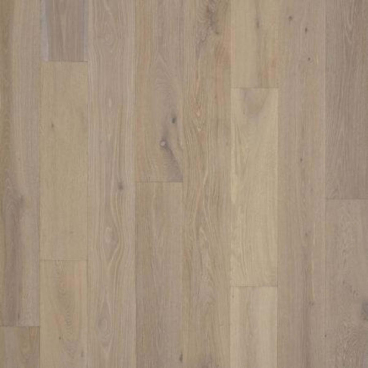 PremierLux in Enchanted Oak Luxury Vinyl