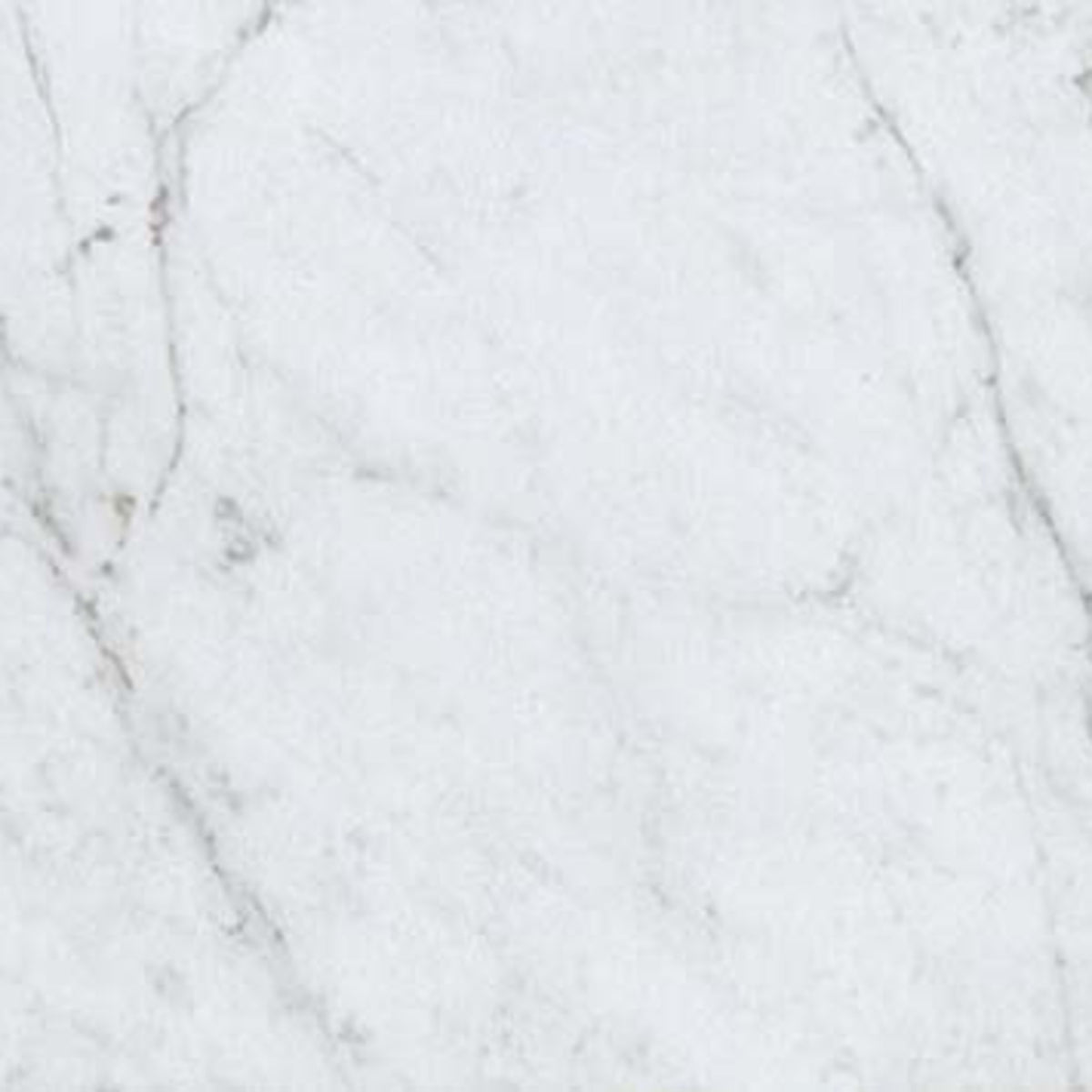 Eon in Carrara 12x24 Tile