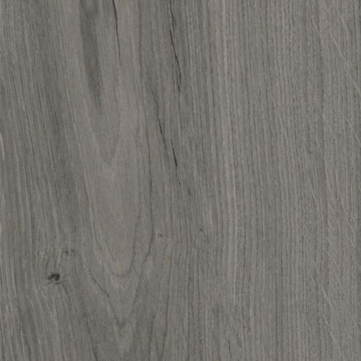 Excursion in Denali Tile