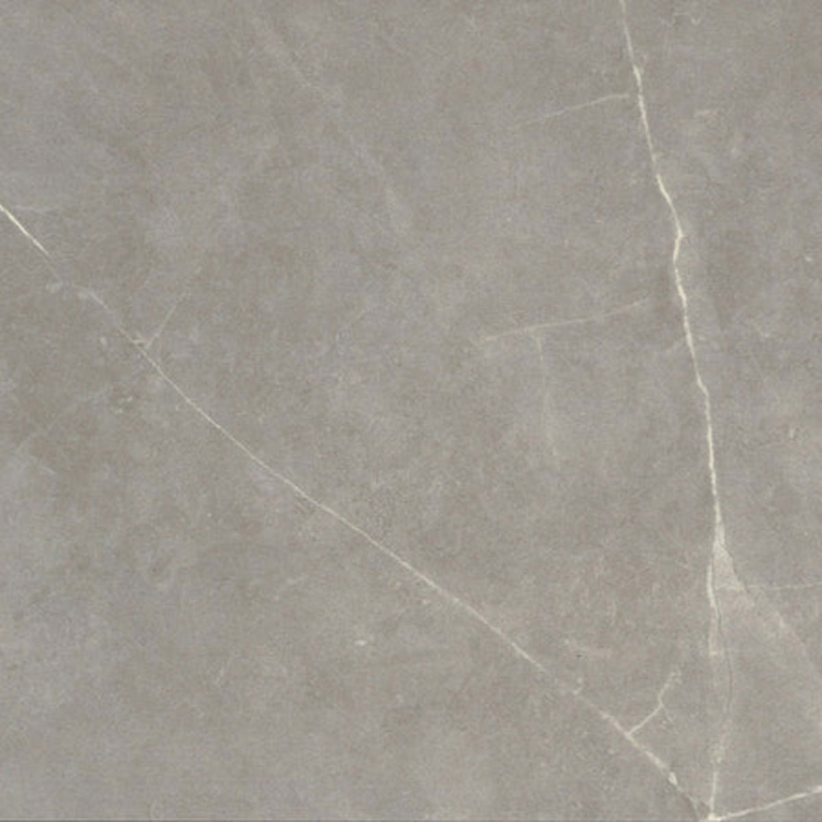 Sterlina II in Dove-24x24-Polished Tile