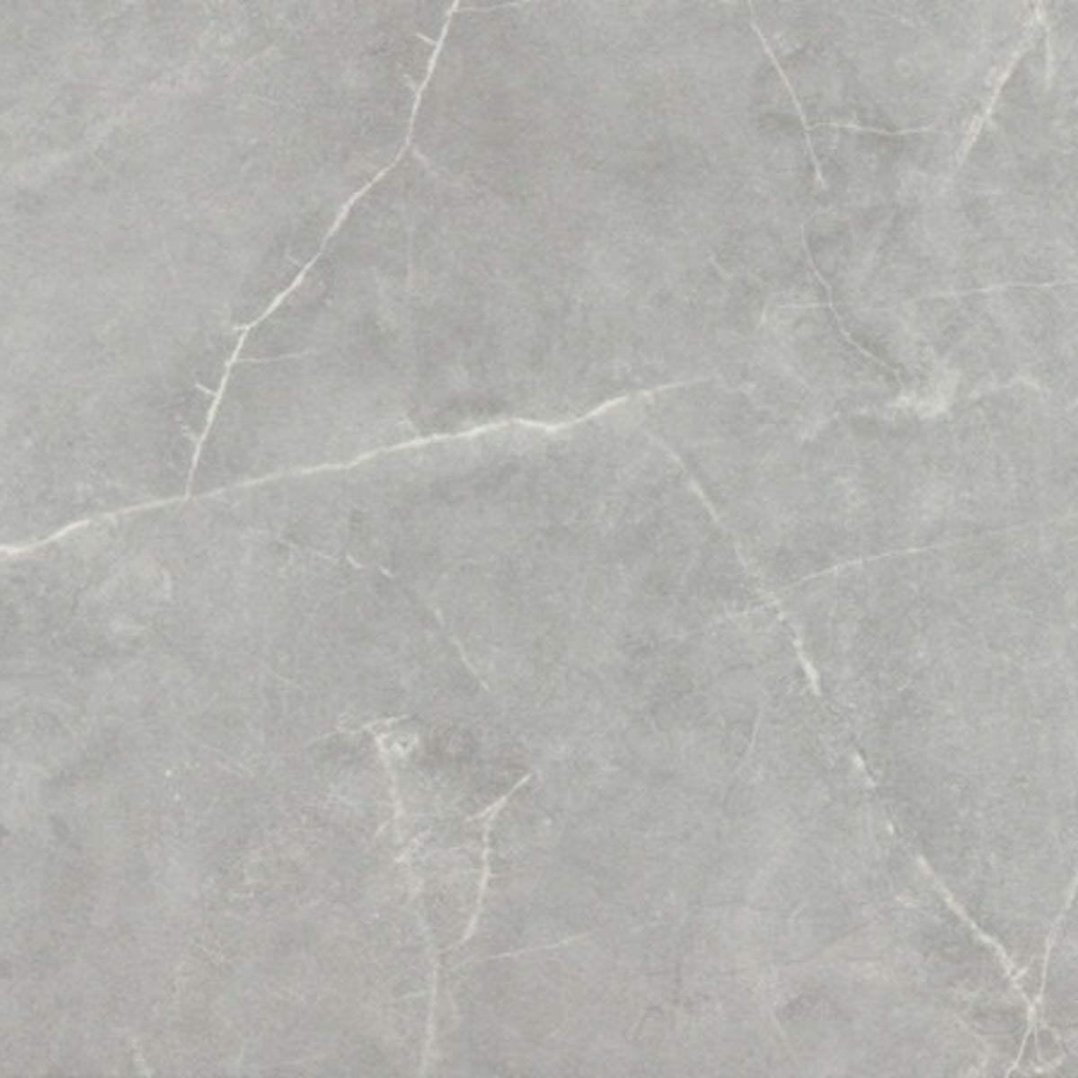 Sterlina II in Gray-24x24-Matte Tile