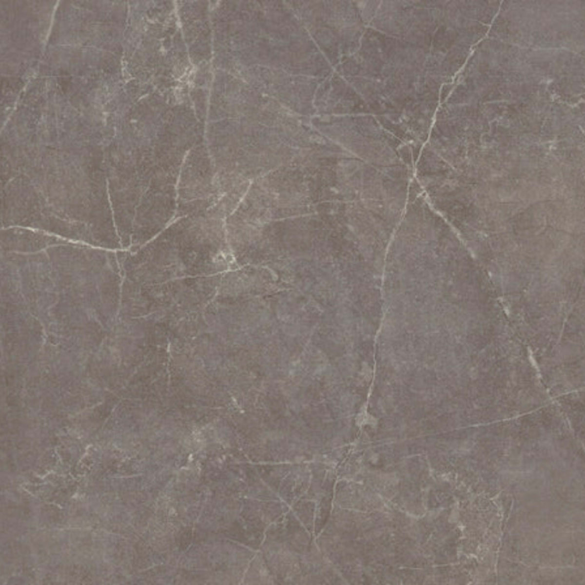 Sterlina II in Henna-12x24-Matte Tile