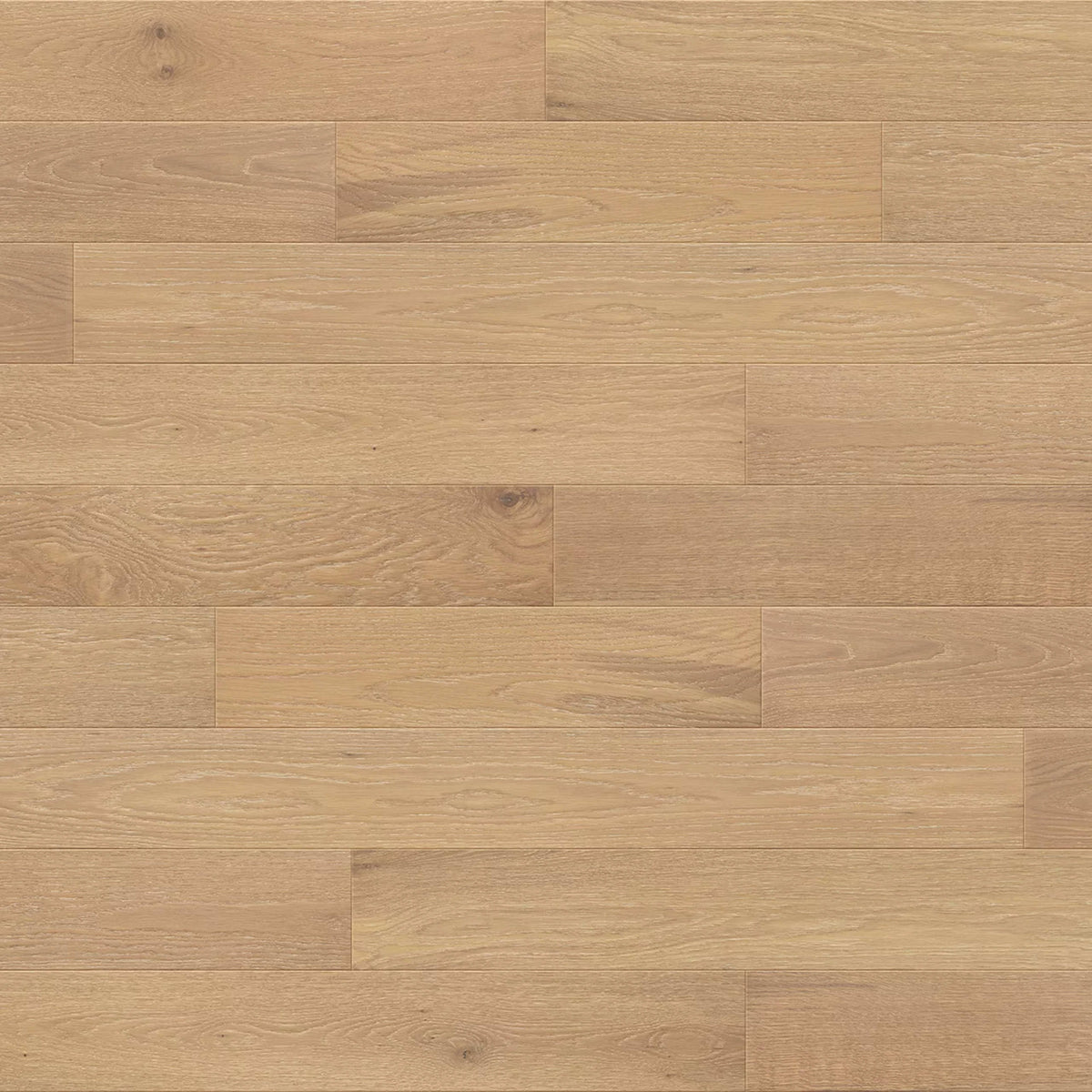 French Impressions in Toulouse Hardwood