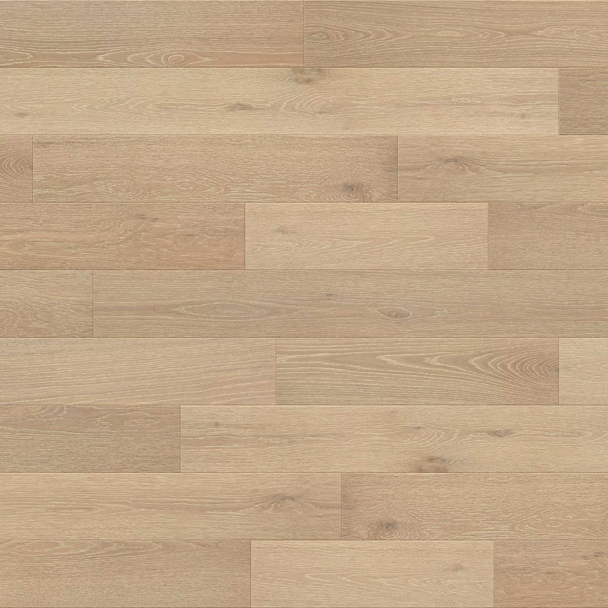 French Impressions in Van Gogh Hardwood