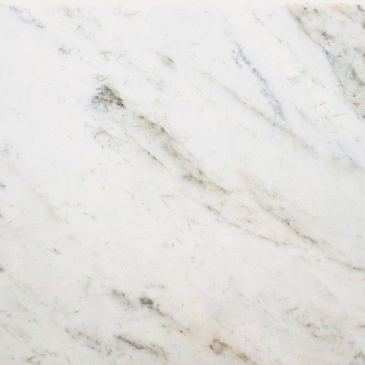Premier Marble in Casablanca Honed 12x24 Natural Stone
