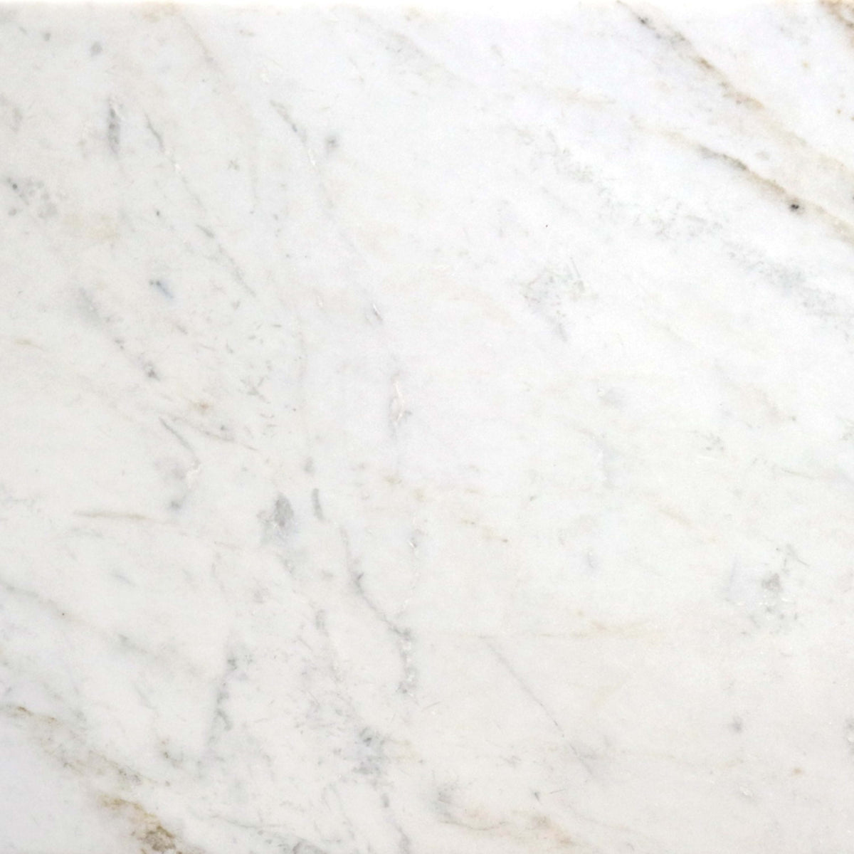 Premier Marble in Casablanca Polished 12x12 Natural Stone