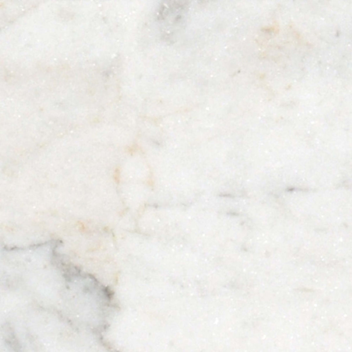 Premier Marble in Casablanca Polished 3x6 Natural Stone