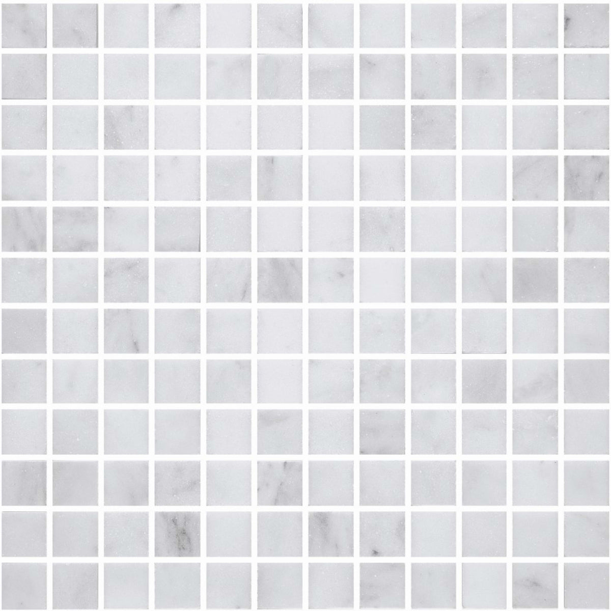 Premier Marble in Makrana Honed M1x1 Natural Stone
