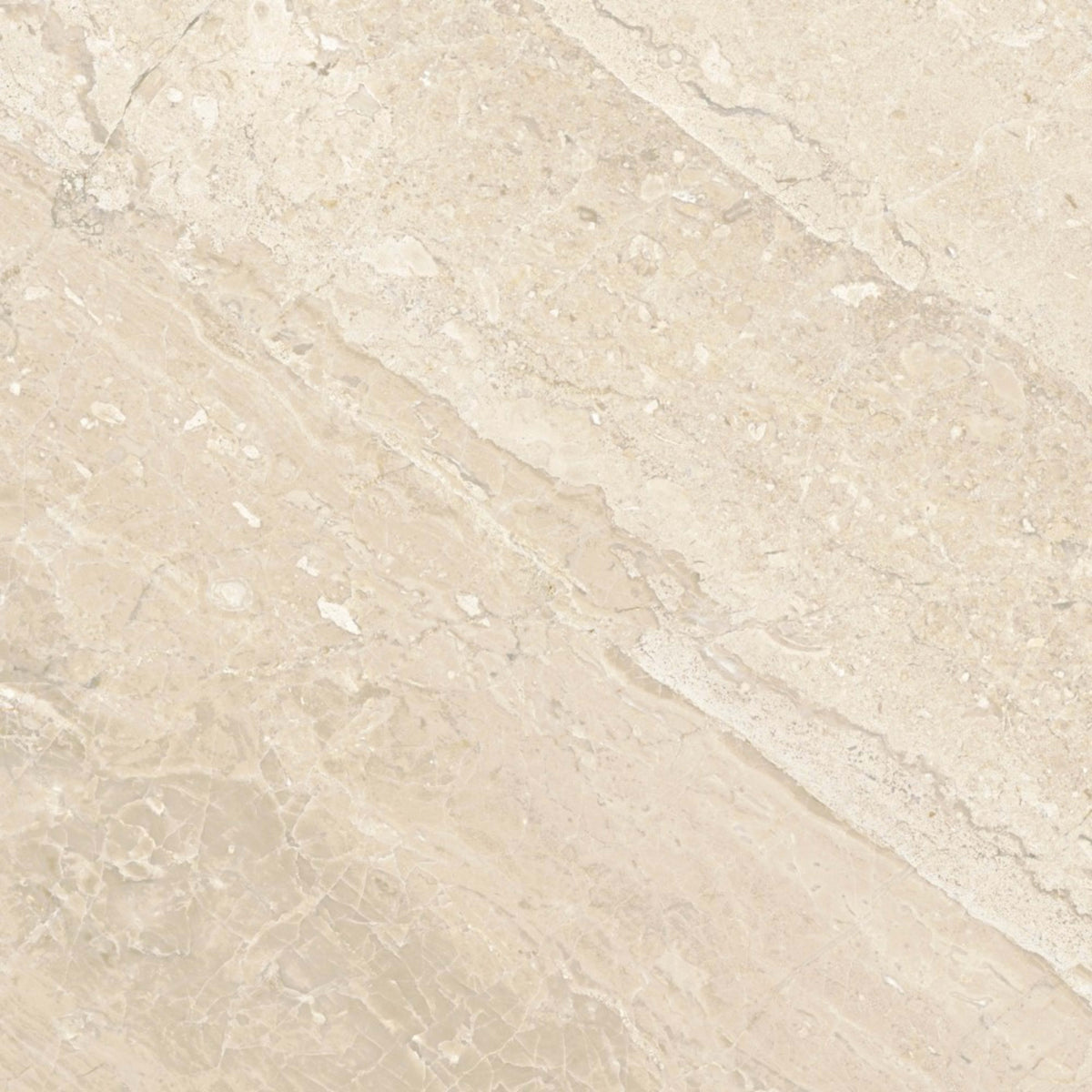 Premier Marble in Giallo Honed 12x24 Natural Stone