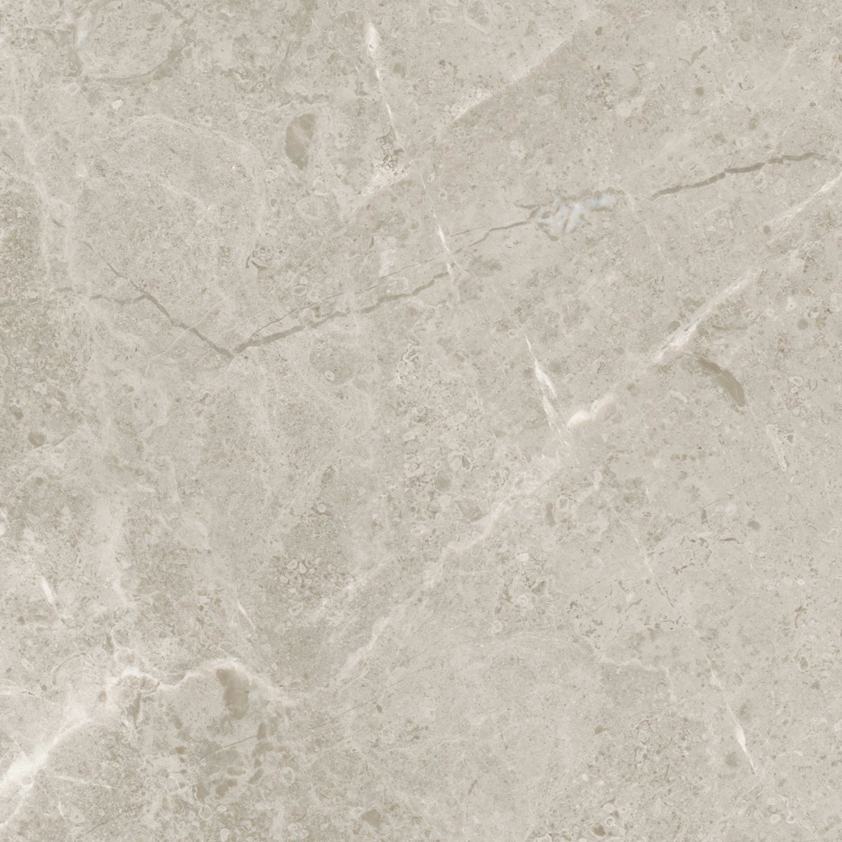 Premier Marble in Argento Polished 12x24 Natural Stone