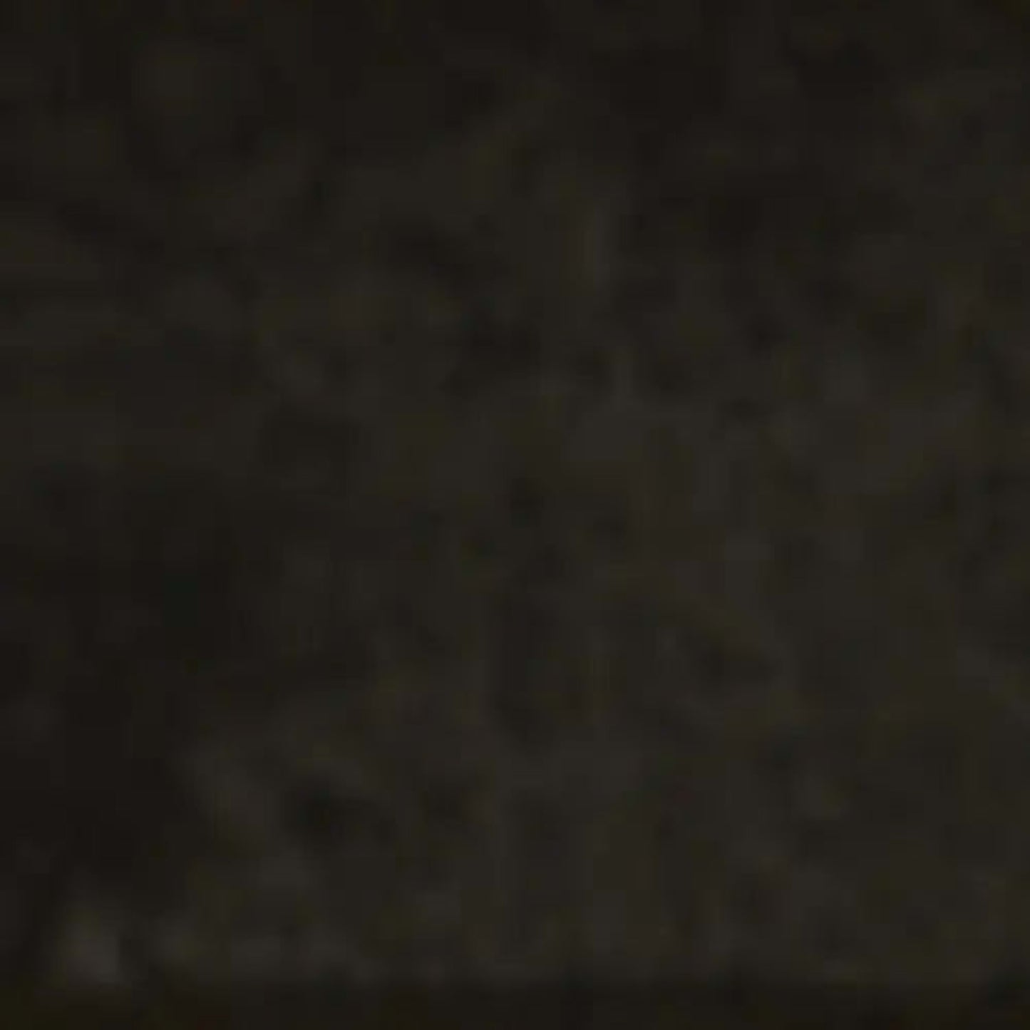Storied in Black Cardamom Tile