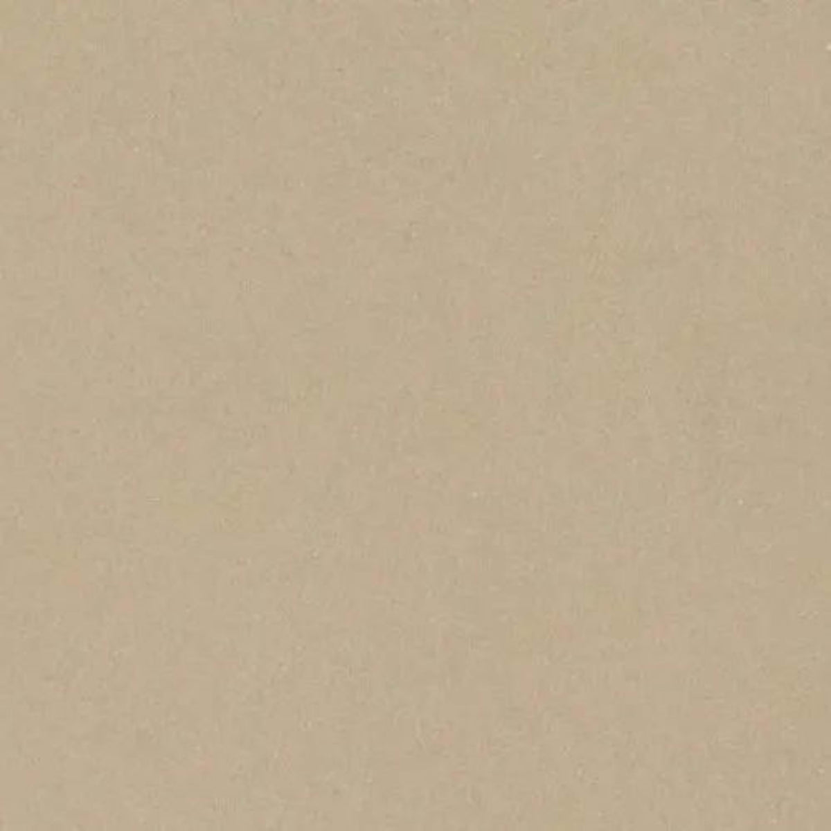 Time 2.0 in Beige Natural Tile