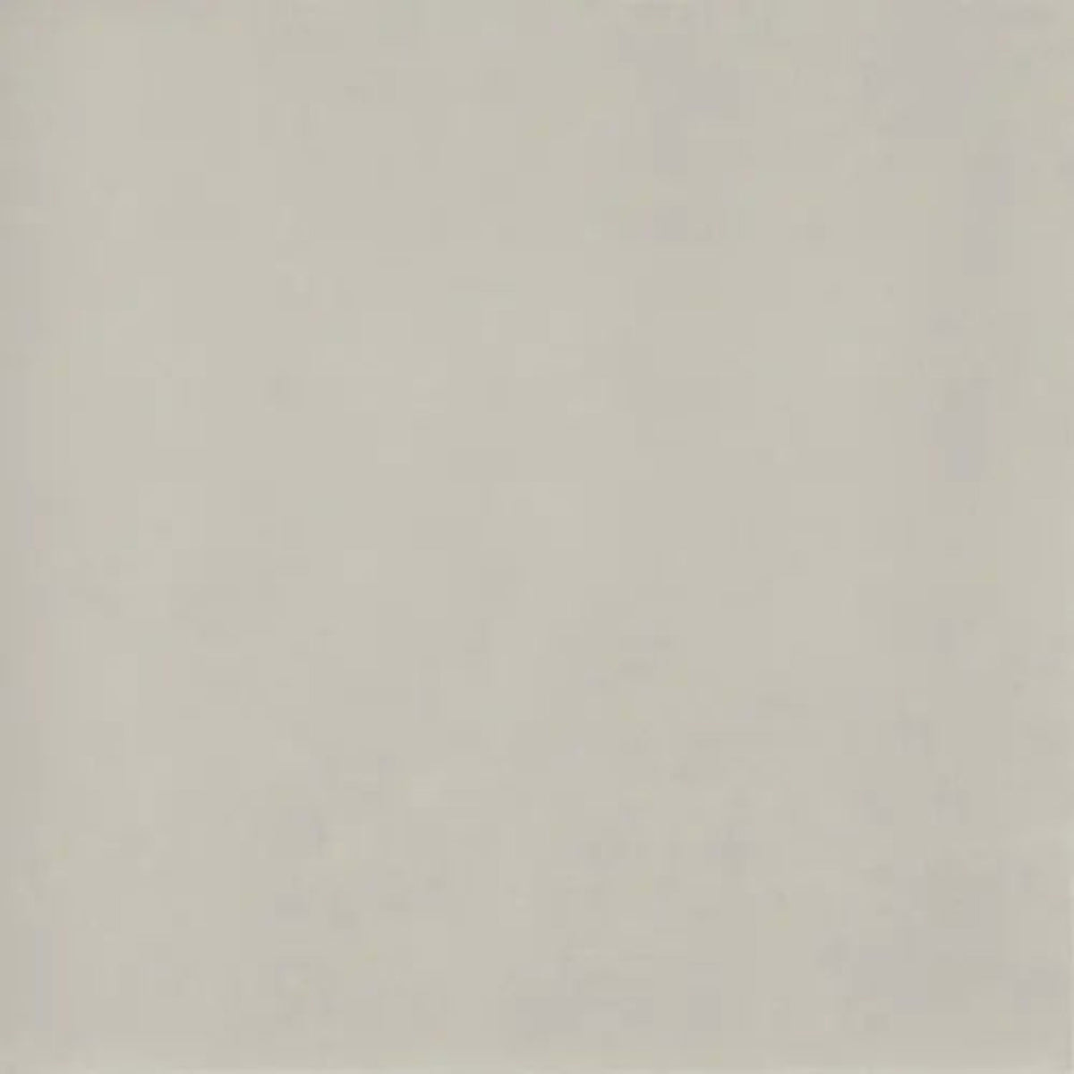 Time 2.0 in Silver Natural Tile