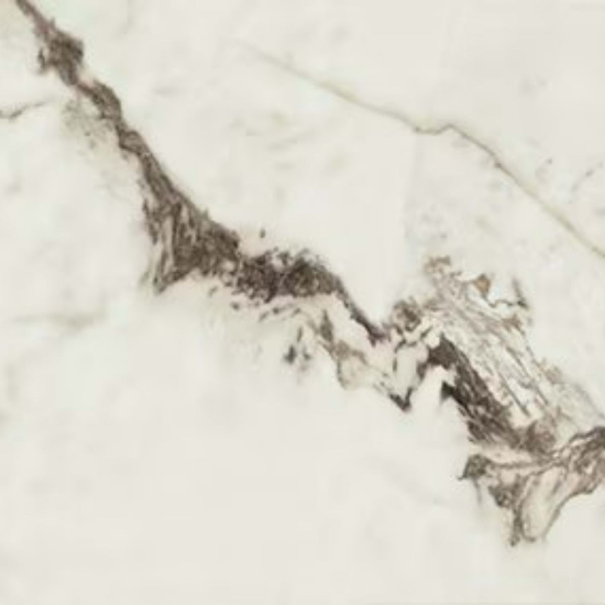 Foyer in Summit-24x48-Matte Tile