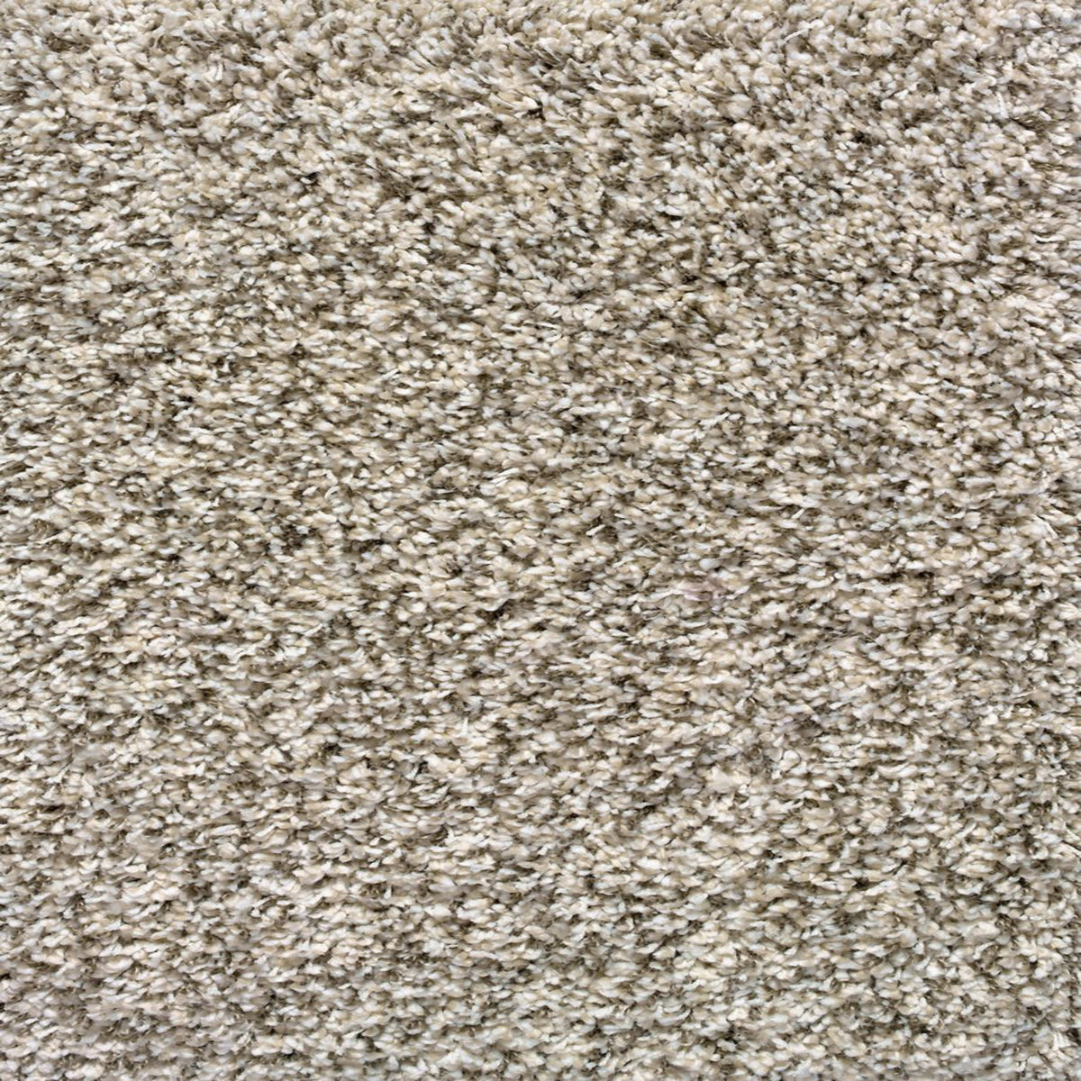 Fab Shag - Sea Salt in Sea Salt Area Rugs