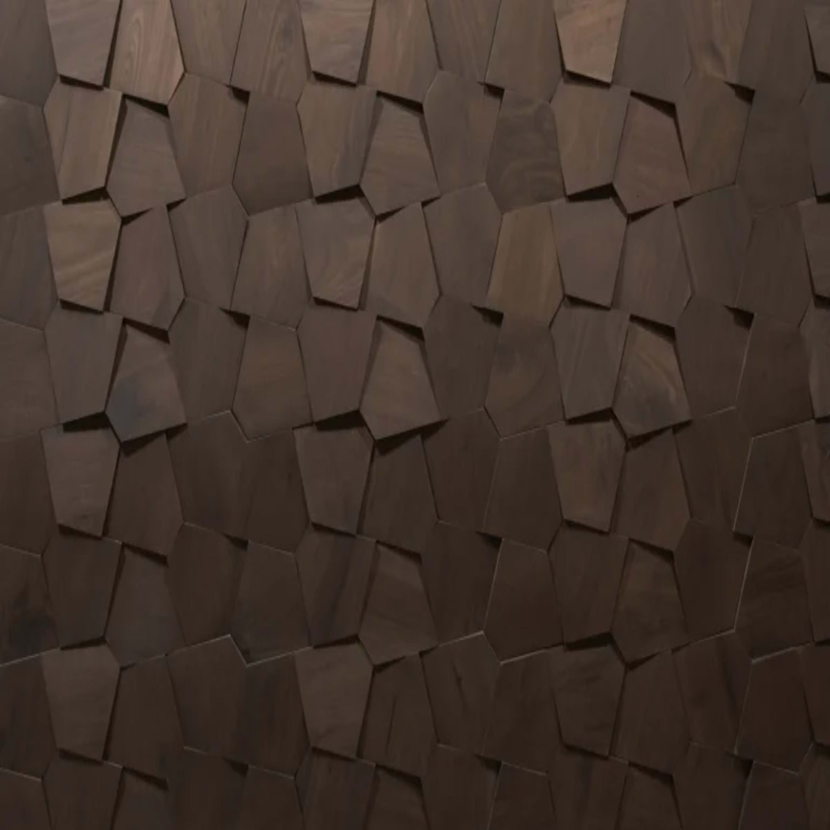Wall - Motif - Forma in Darkened Walnut Hardwood