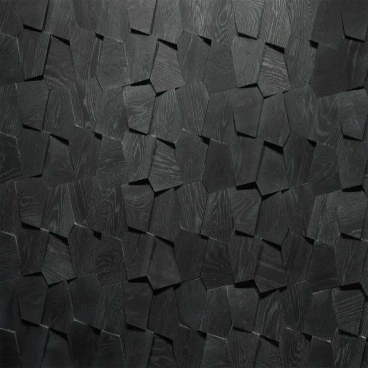 Wall - Motif - Forma in Noir Hardwood