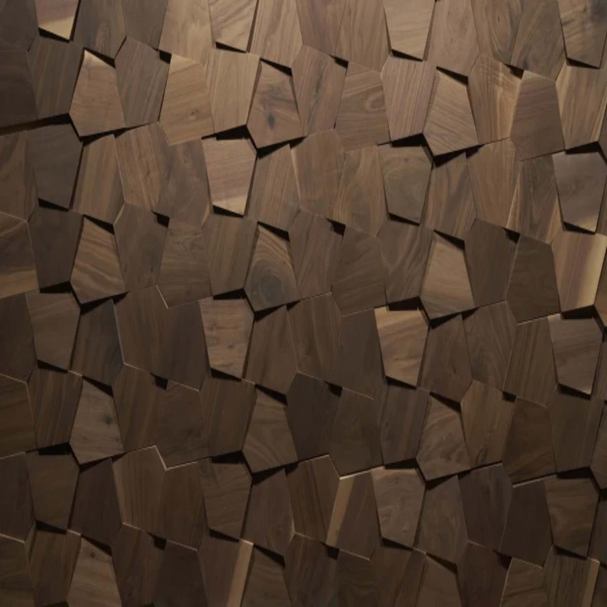 Wall - Motif - Forma in Raw Walnut Hardwood
