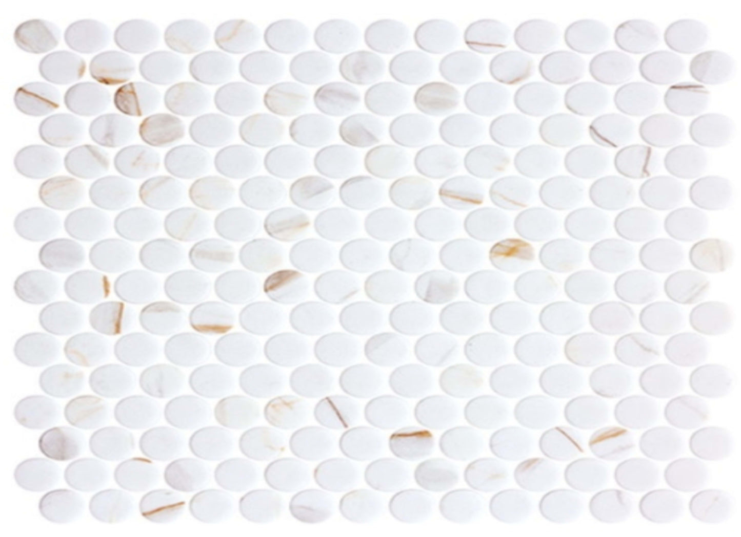 Carolina Dots Collection in Gilded Vogue