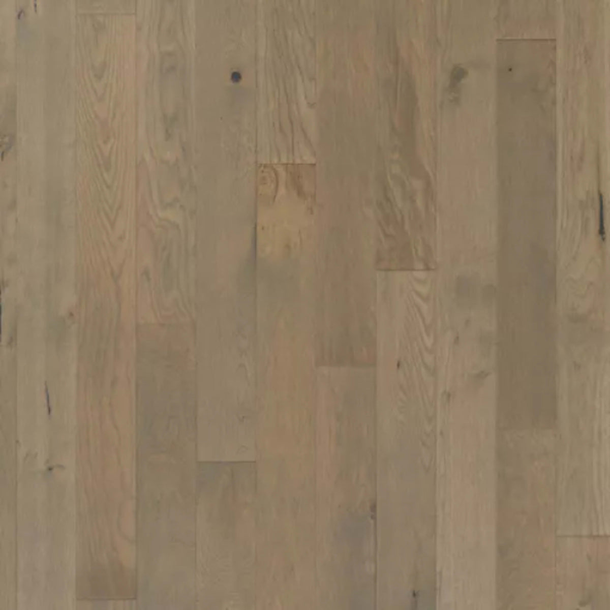Camden Park in Gray Cashmere Hardwood