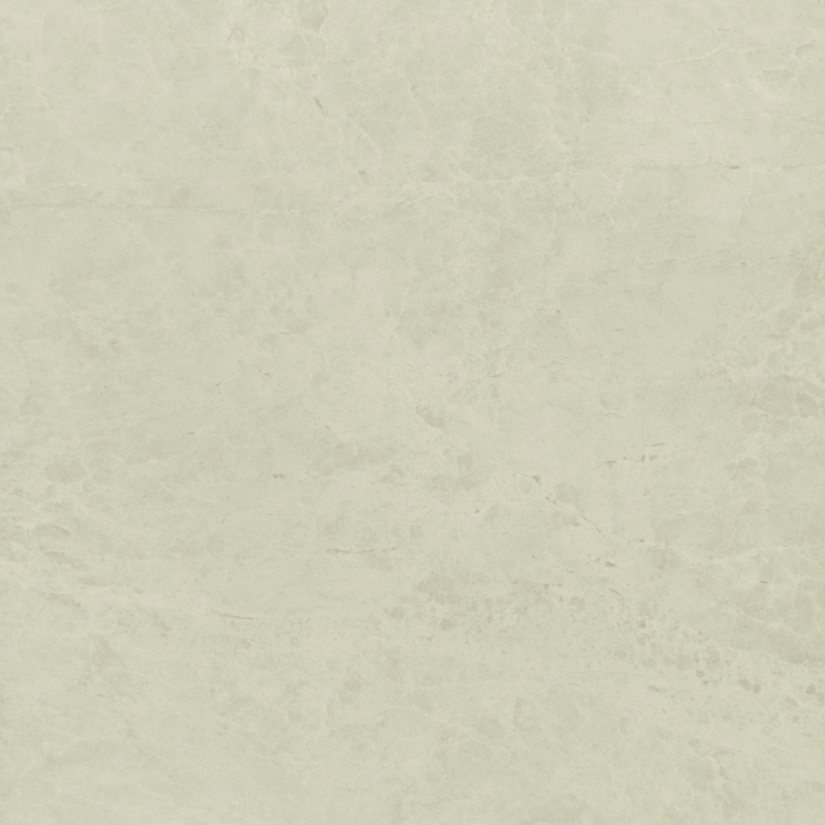 Hydra in White 12x24 Tile