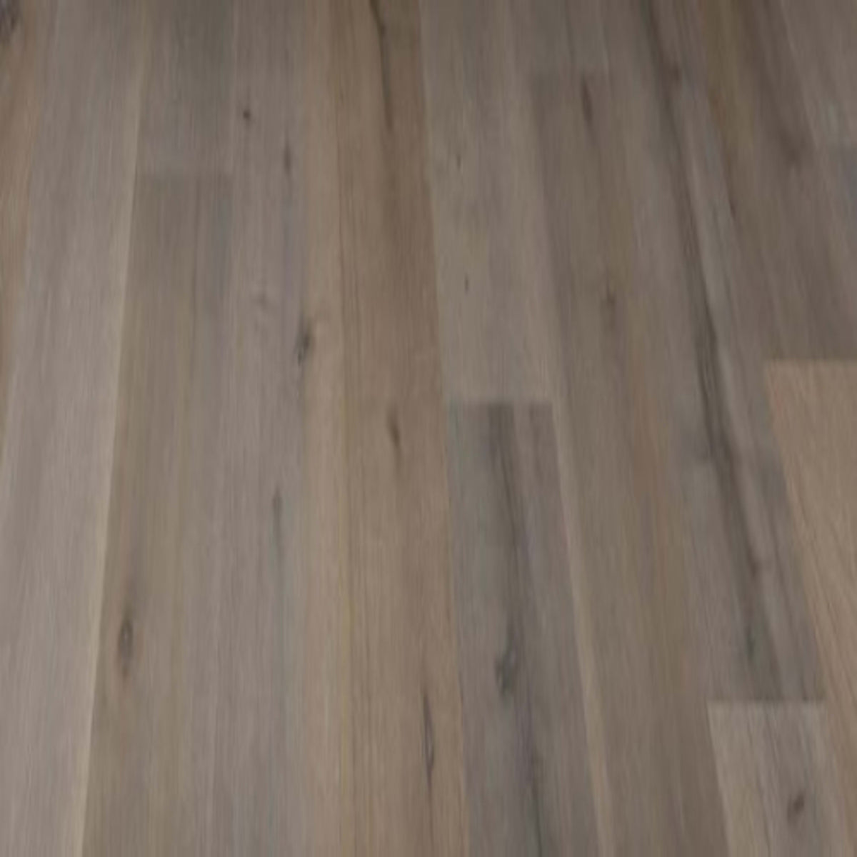 Nascent in Koha Hardwood