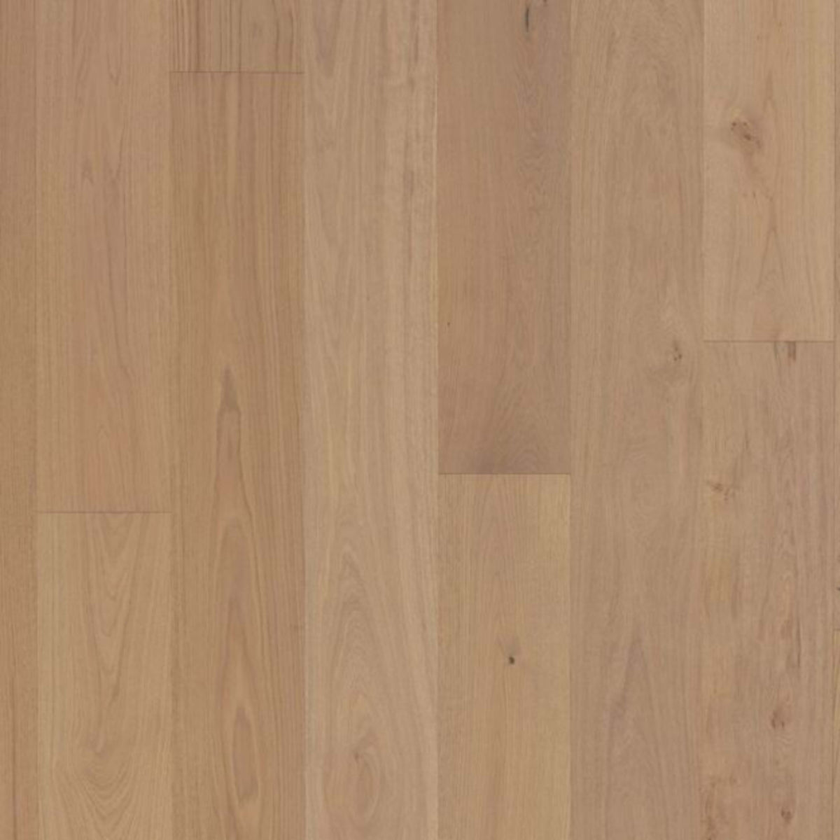 Hermitage in Oak - Georgetown Hardwood