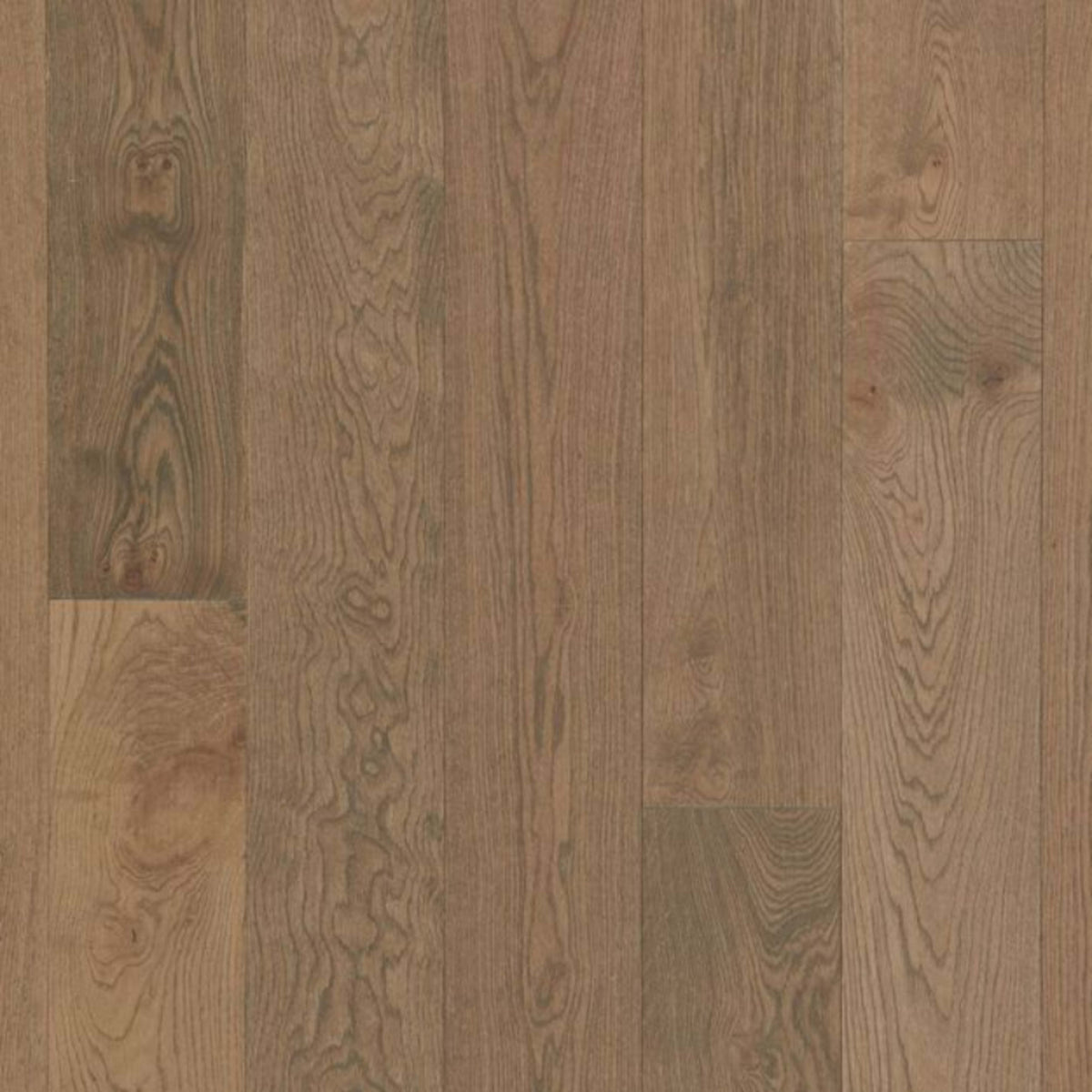 Hermitage in Oak - Casita Hardwood