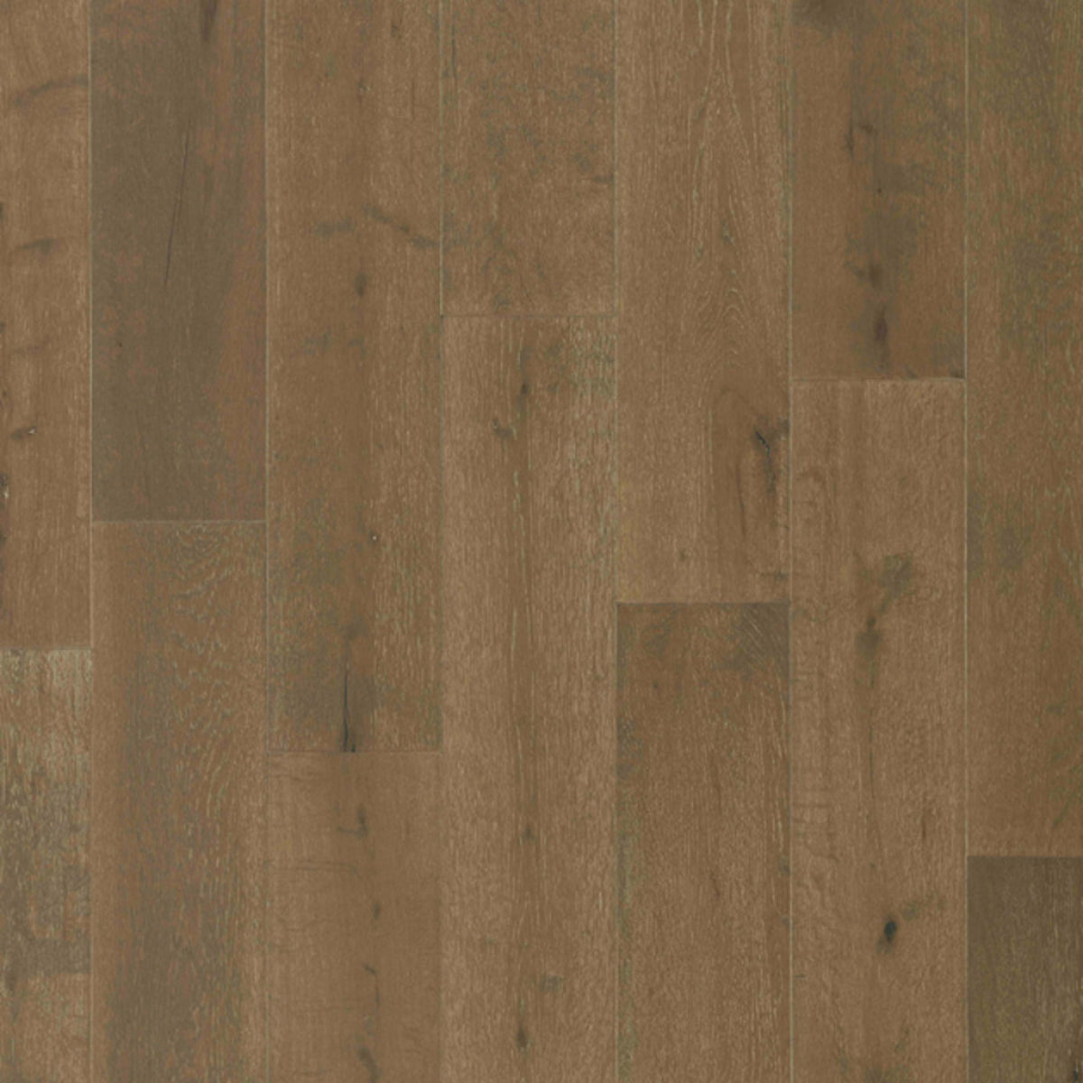 Bentley Premier in White Oak - Fordham Hardwood