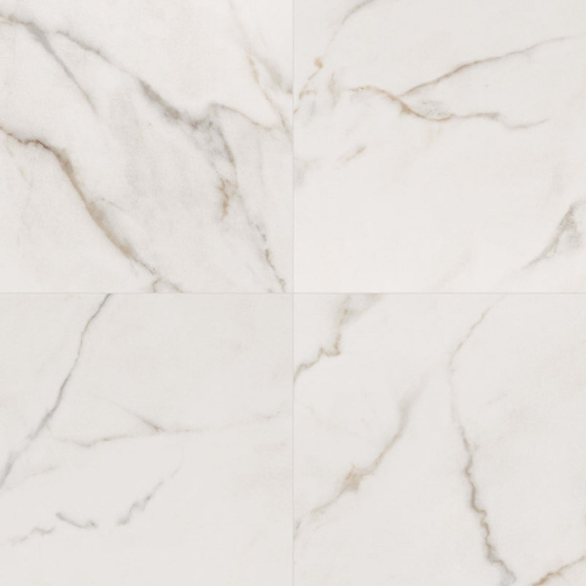 Kaya in Calacatta Lucca - 24x24 Polished Tile