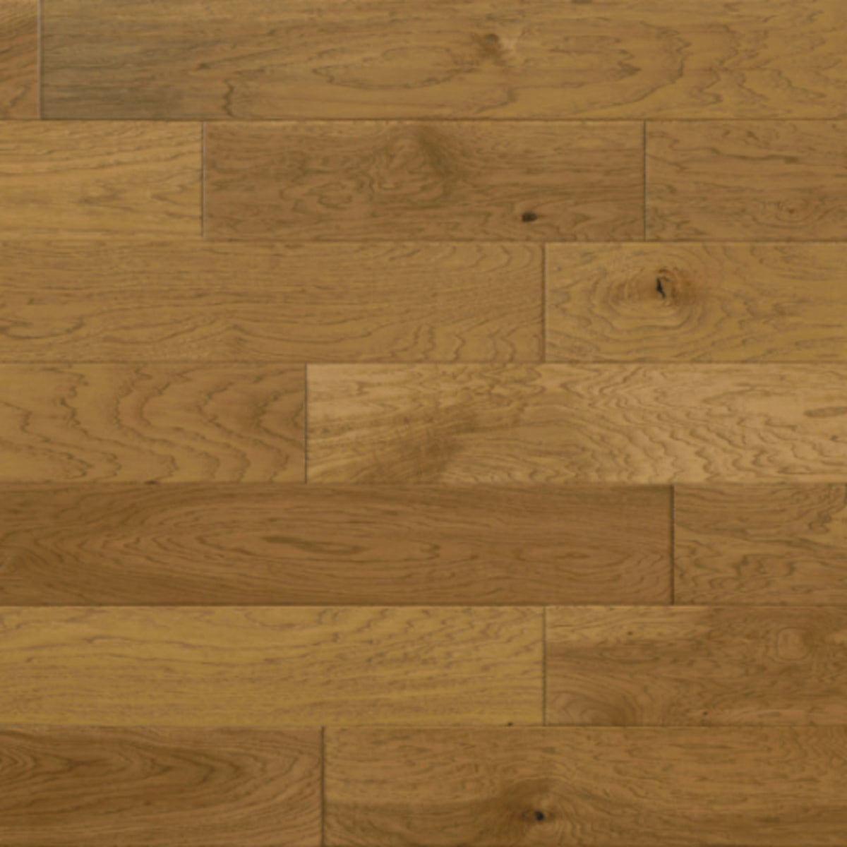 Yukon Gold in Klondike Hardwood