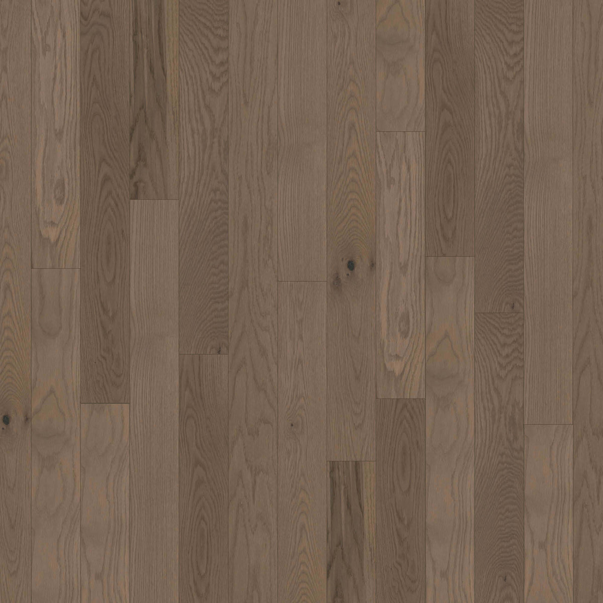 Anthem 5" in Lehigh Hardwood