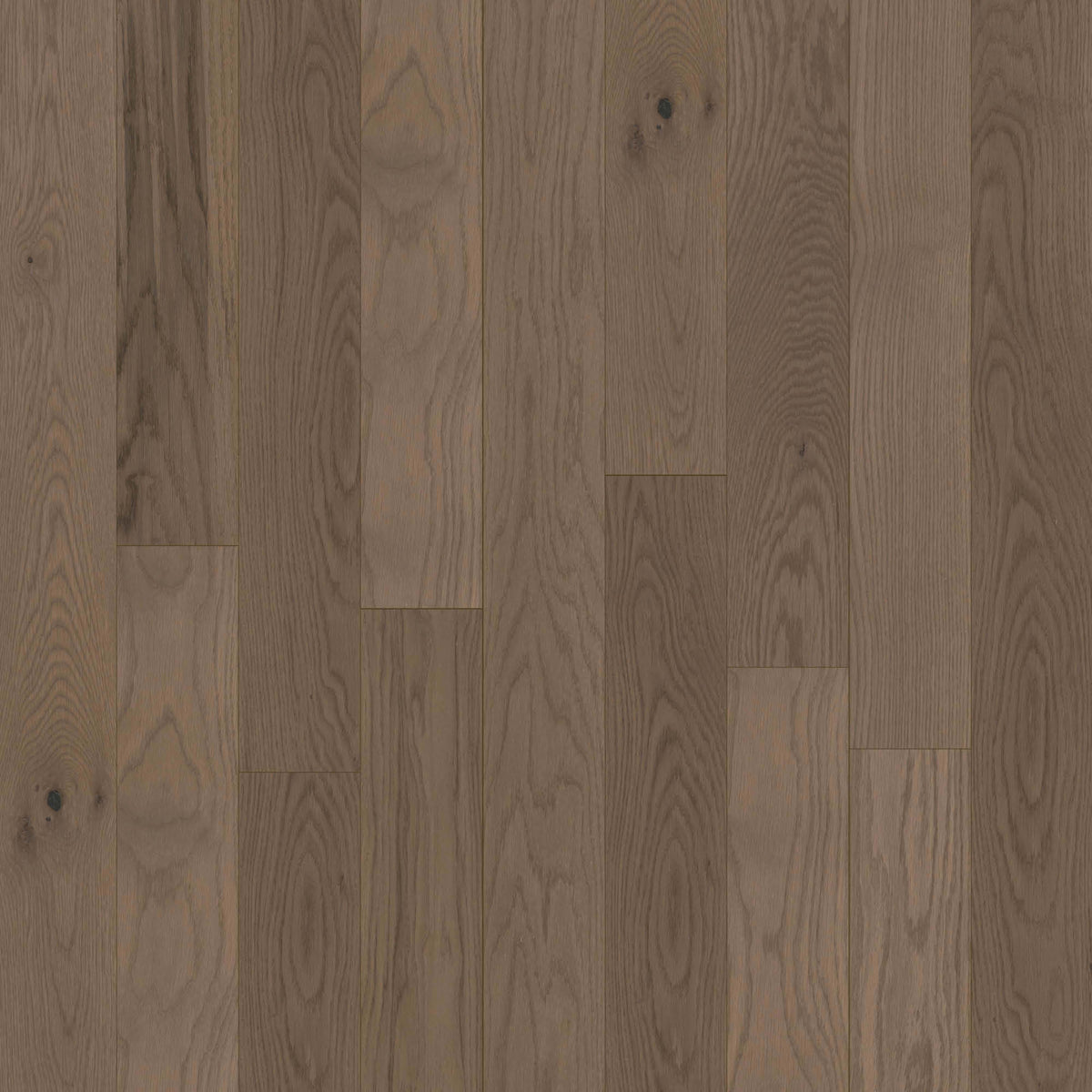 Anthem 7" in Lehigh Hardwood