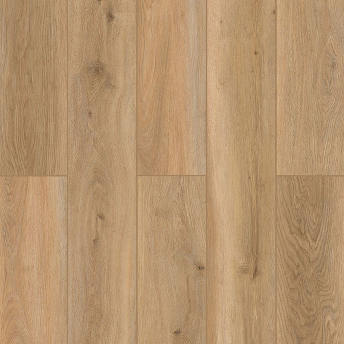 Indoor Delight in Shoreline Décor Luxury Vinyl