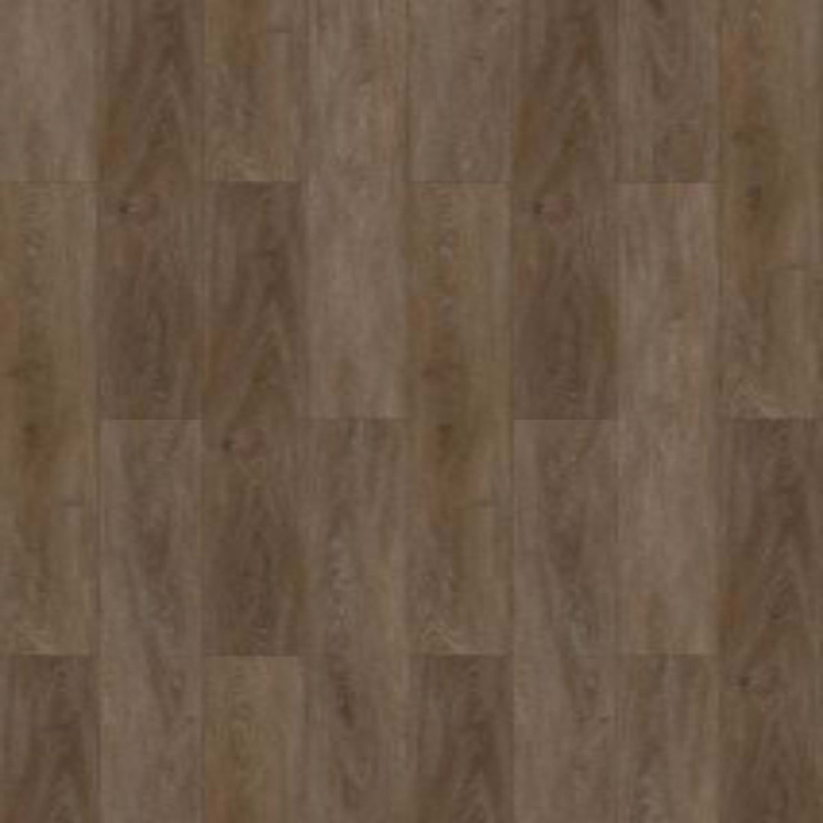 Natural Essence Plus in Foresta Luxury Vinyl