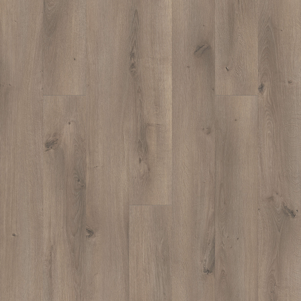 PureGrain Renew - Wood Lux in Santorini Laminate