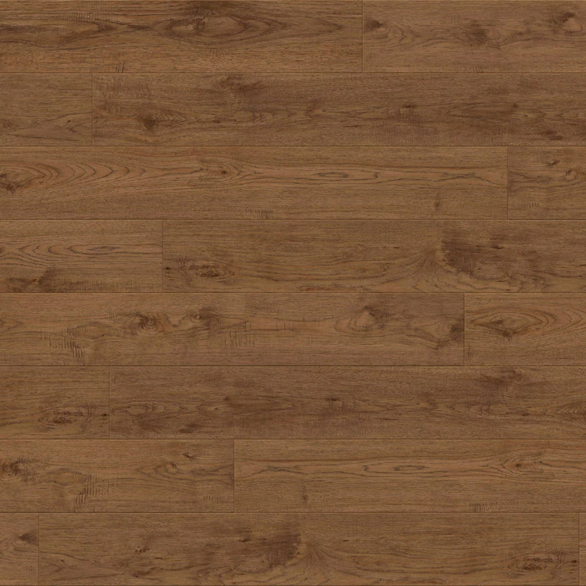 Odyssey in Mariposa Laminate