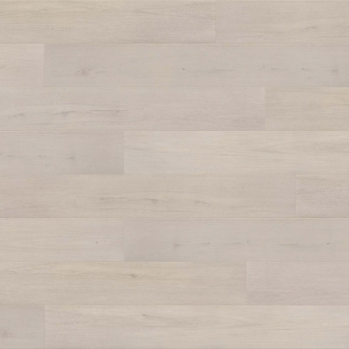 Odyssey in Osprey Laminate