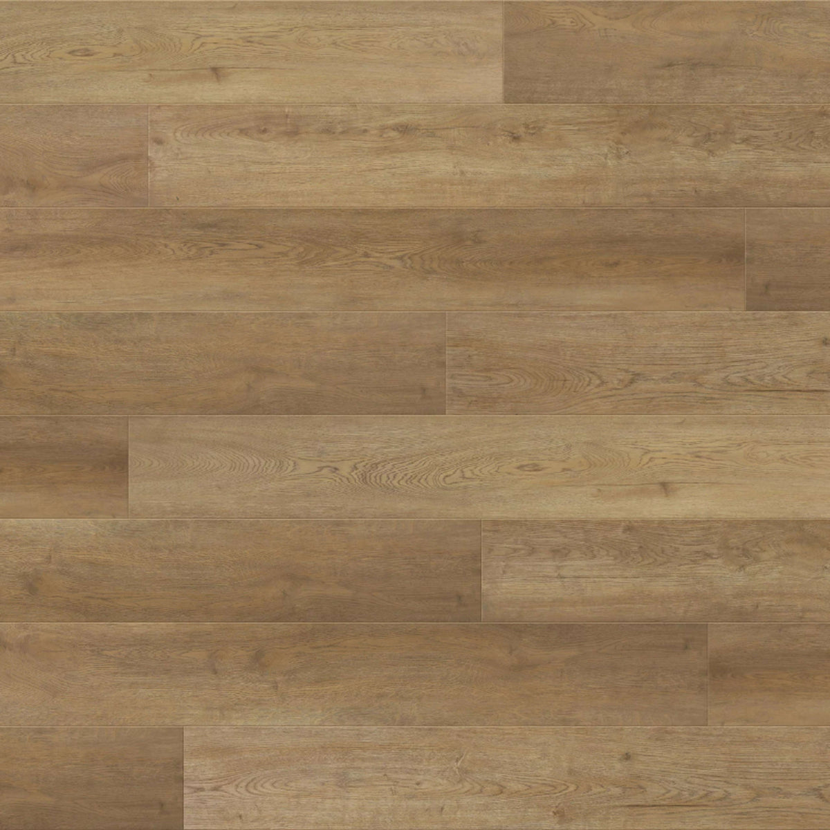 Odyssey in Serendipity Laminate
