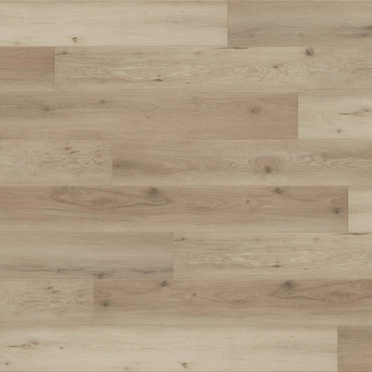Odyssey in Wanderlust Laminate