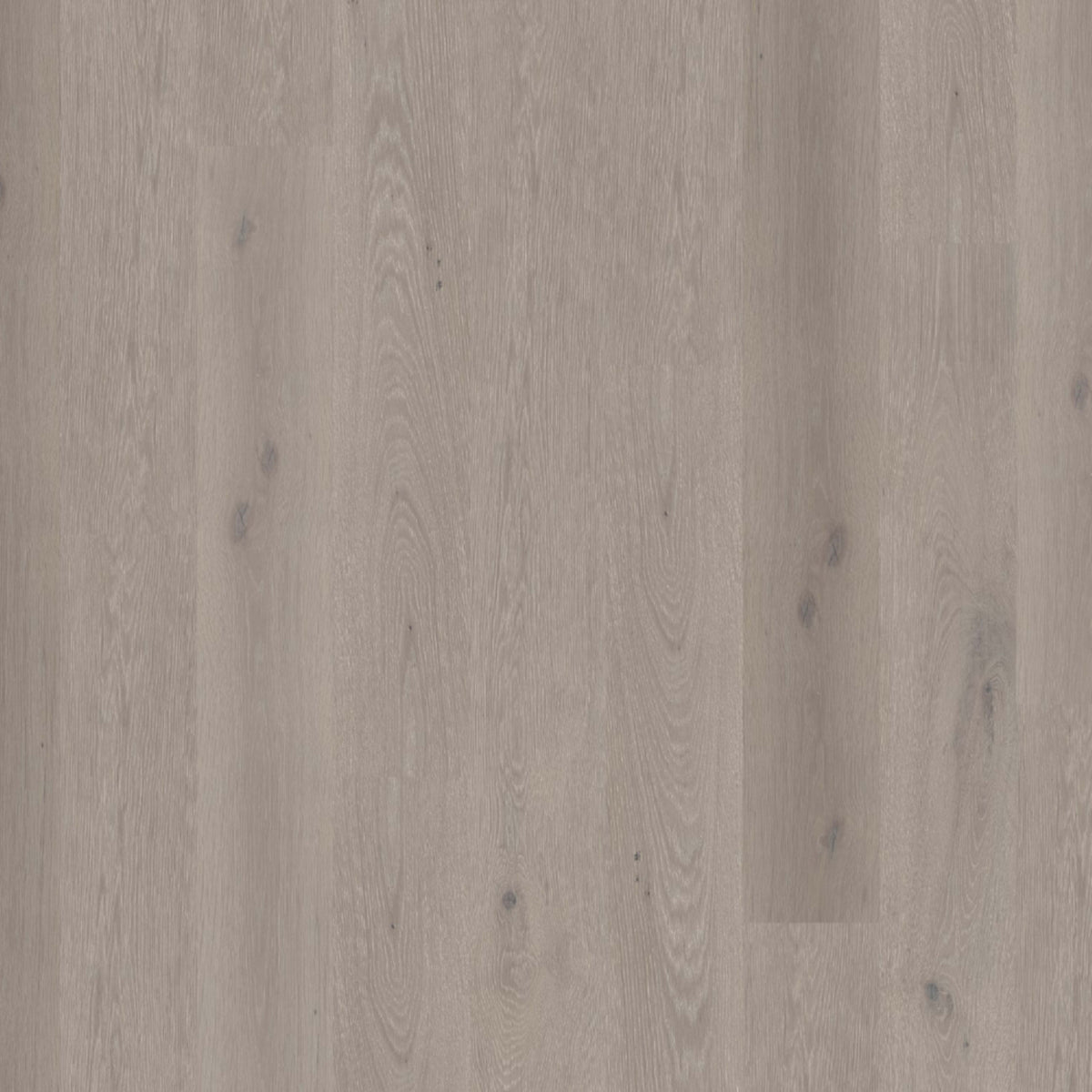 Global Winds in Levante Hardwood