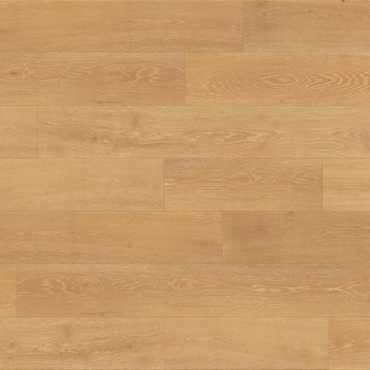 Paradise Island in Linosa Hardwood
