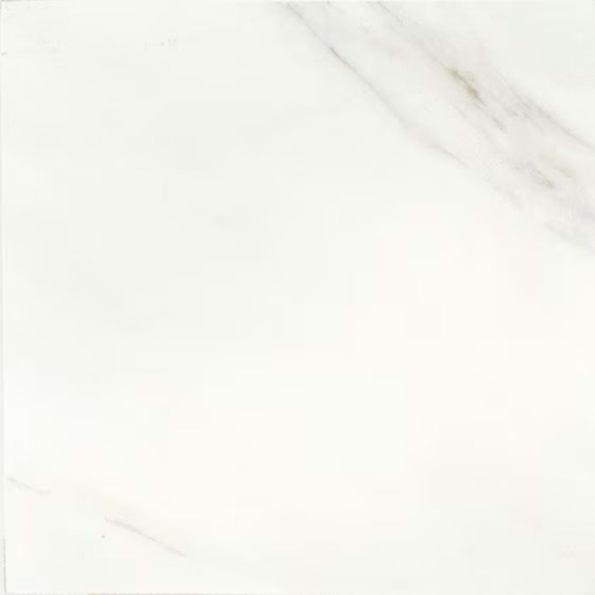 Mirasol in Bianco Carrara-10x14x.375 Tile