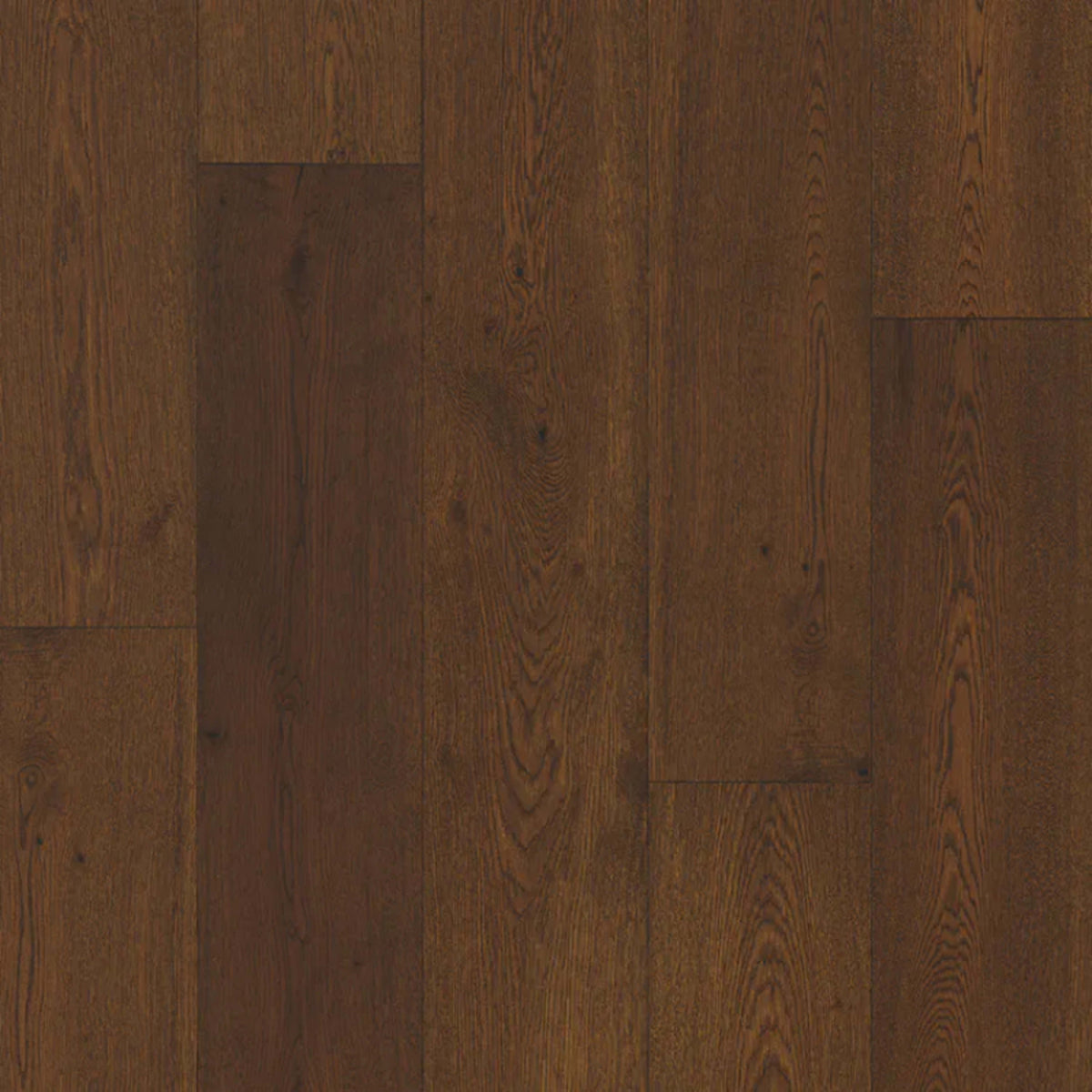 Rustics - Momentum in Saddle Hardwood