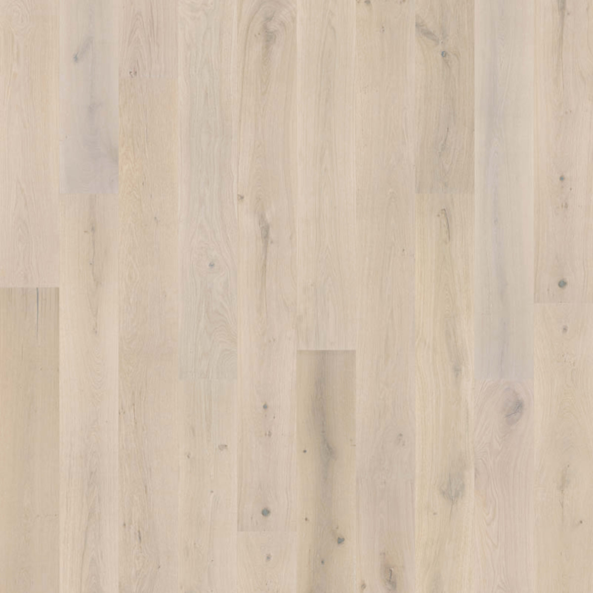 Milky Way Collection in Aurora Hardwood
