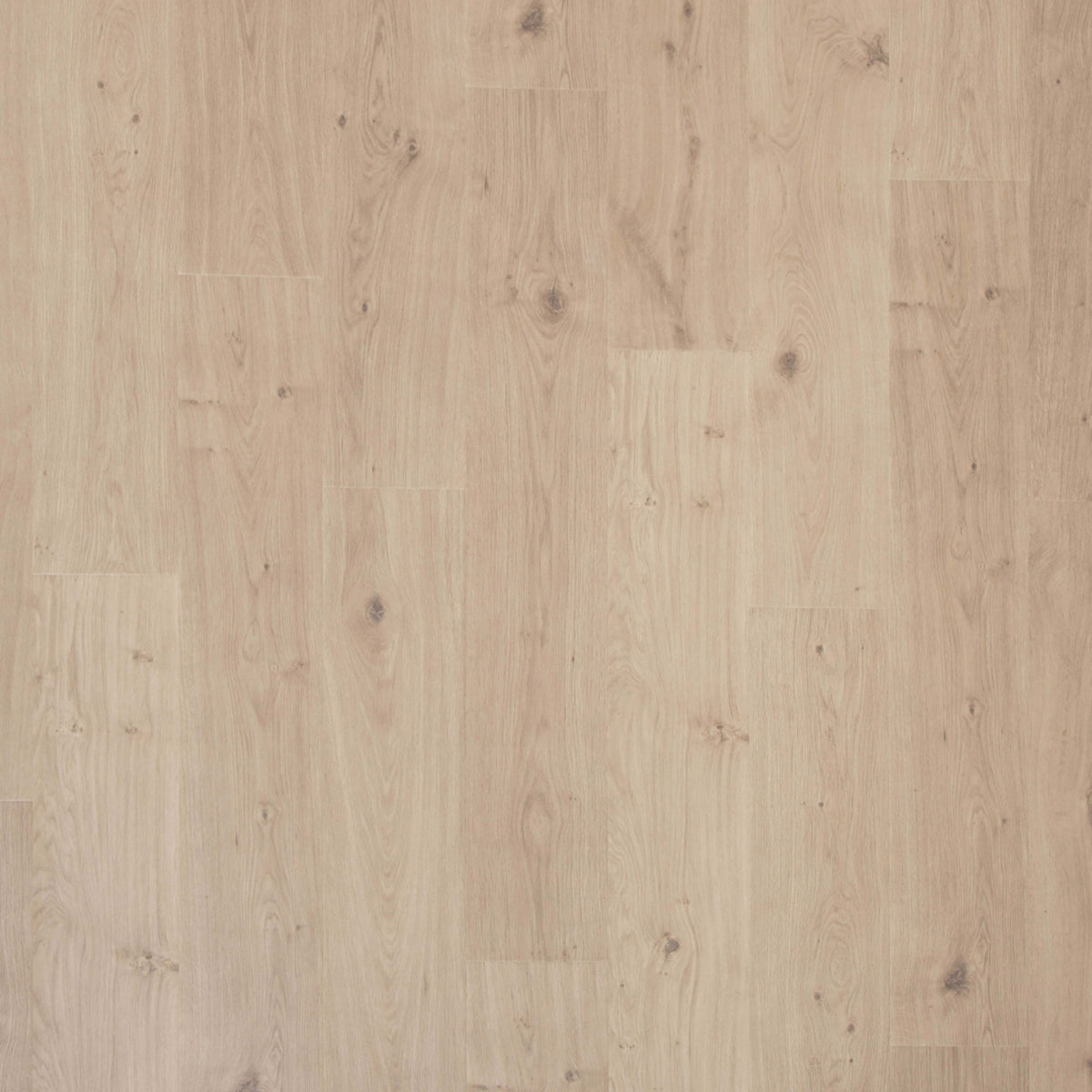 Transom in Monument Grey Oak Laminate