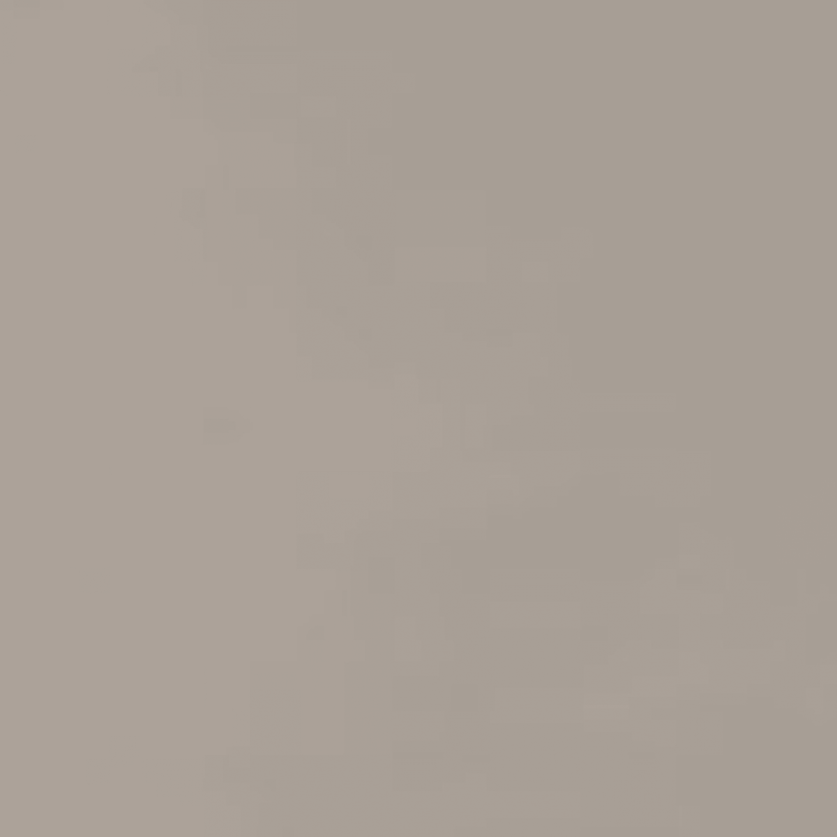 Neoconcrete in Light Gray-12x24-Matte Tile