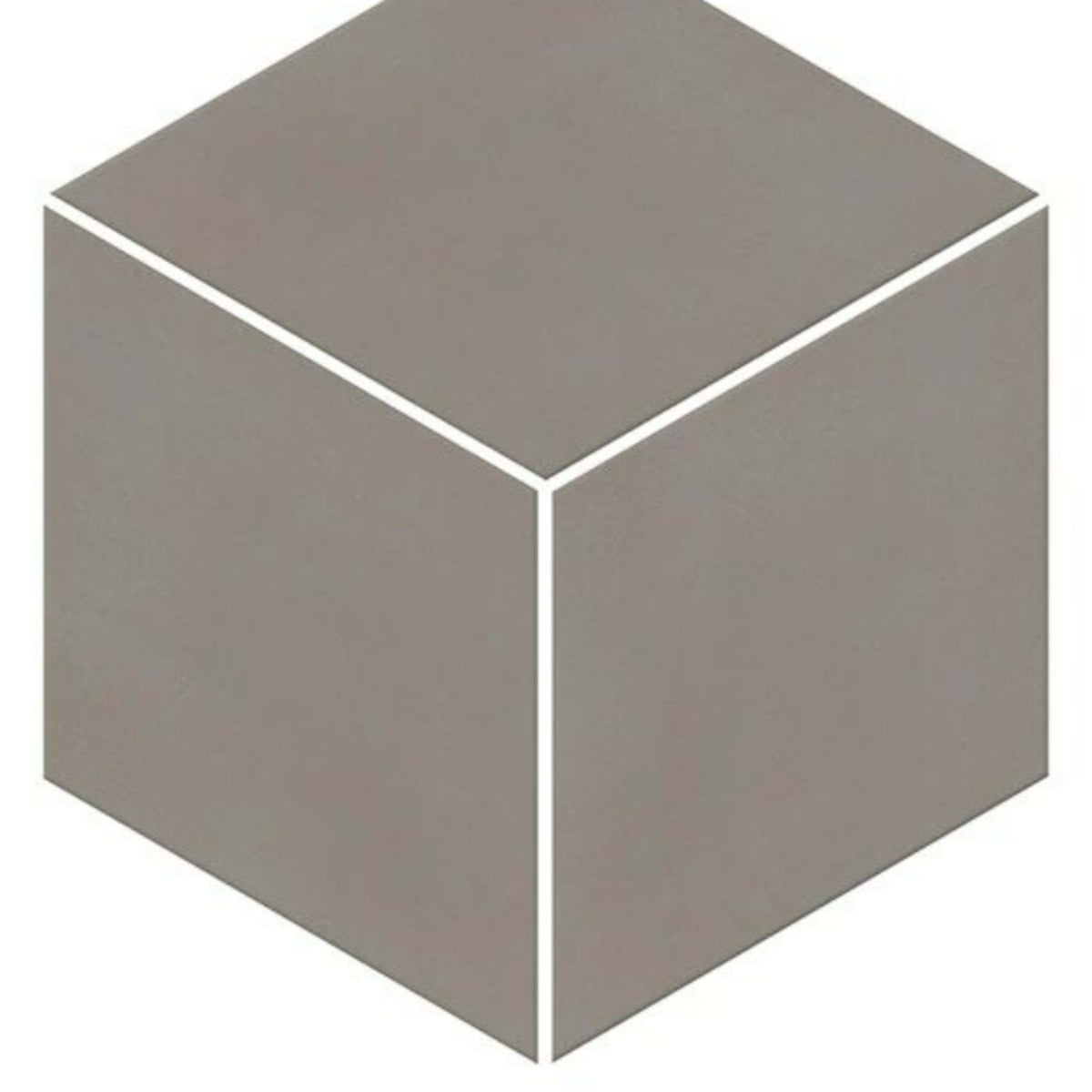 Neoconcrete in Medium Gray-3d Tile